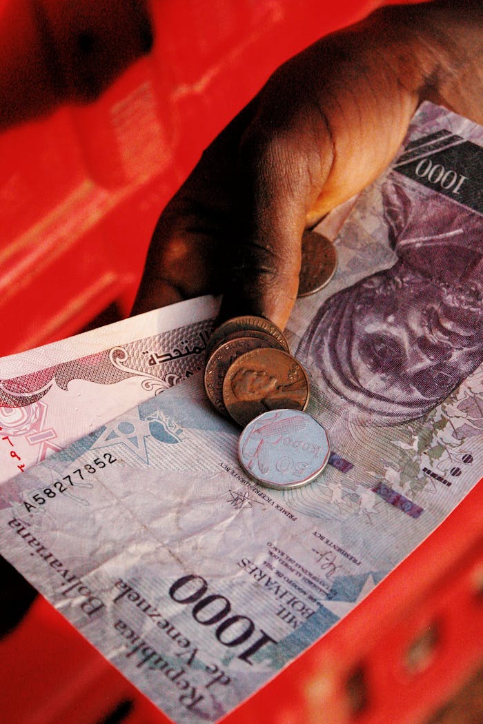 services-01 A detailed view of a hand holding Nigerian currency including 1000 Naira note and coins.