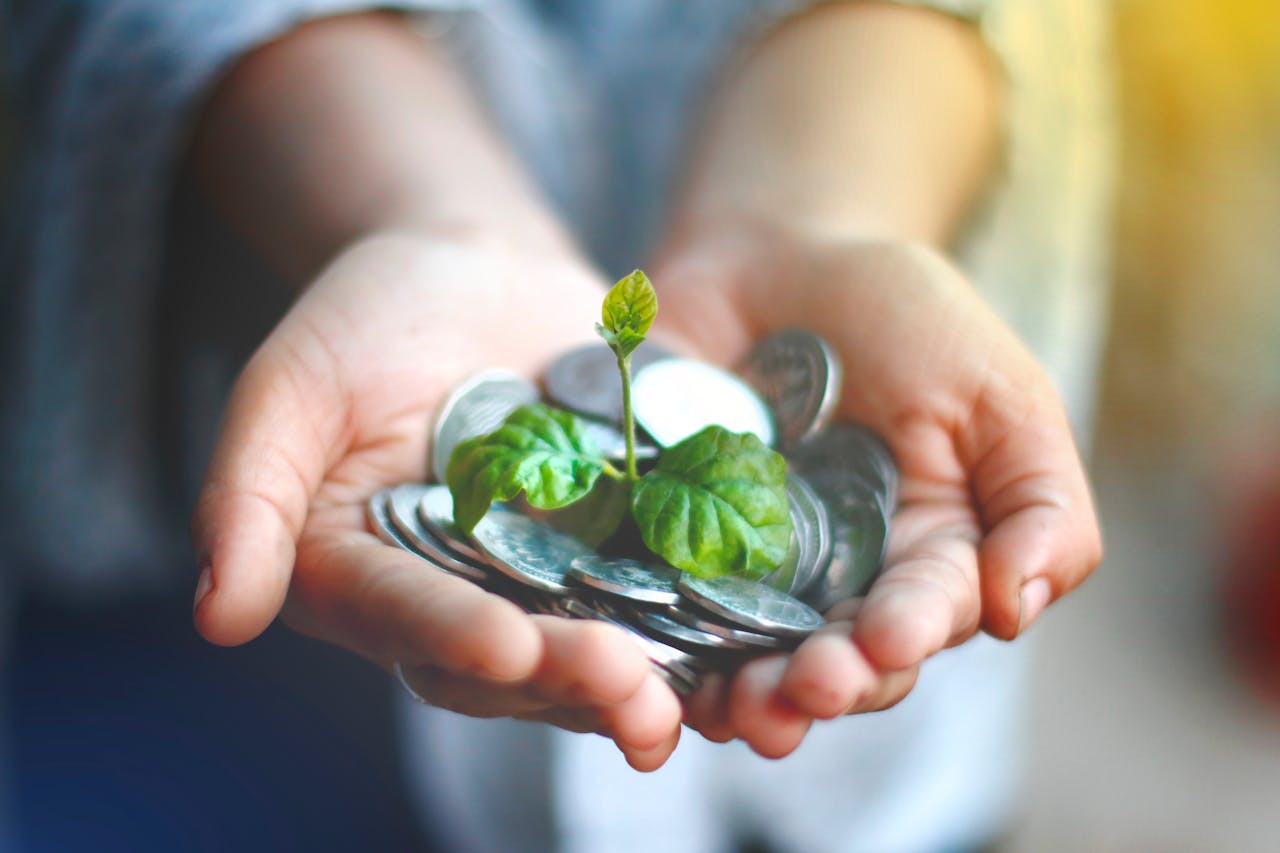 services-03 Hands cupping coins with a green plant sprouting, symbolizing financial growth.